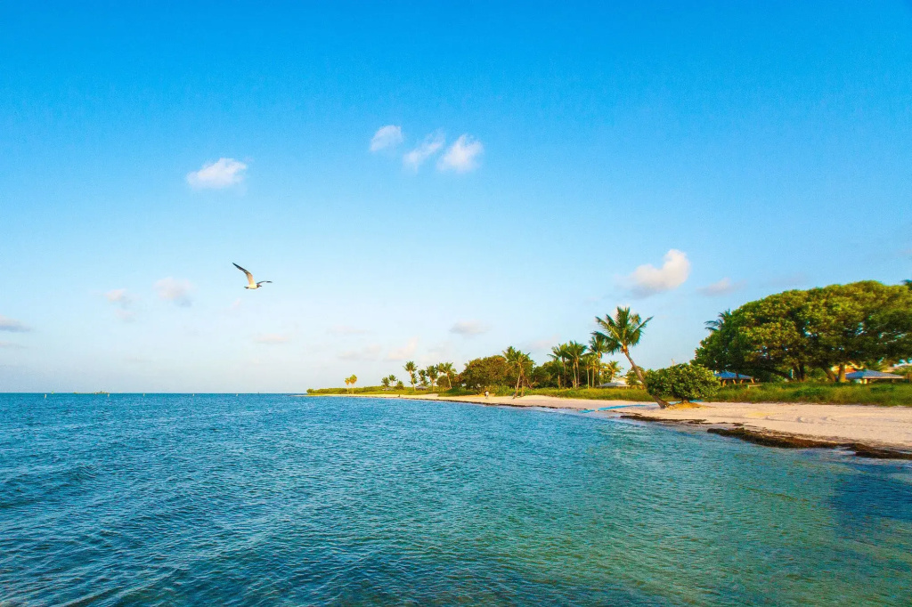 Skipjack Resort & Marina
