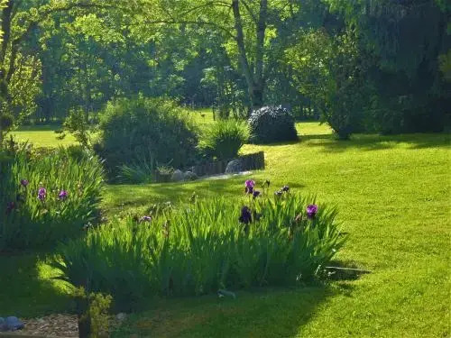 Domaine de lOlifant