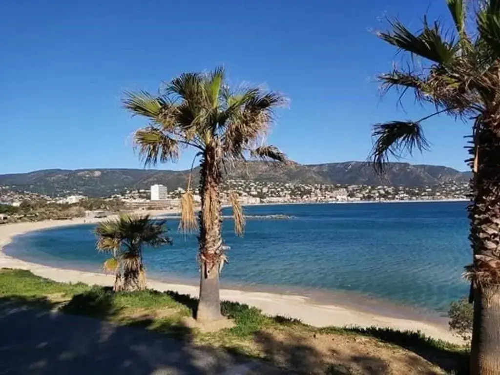 Appartement Le Lavandou, 2 pièces, 4 personnes - FR-1-308-127