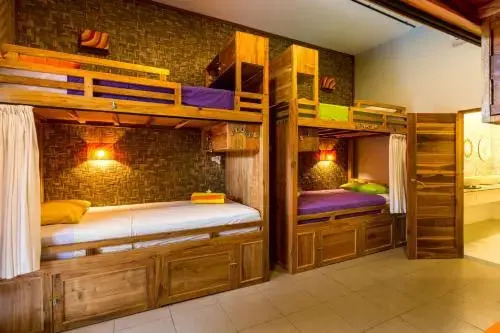 Sleepy Croc Hostel