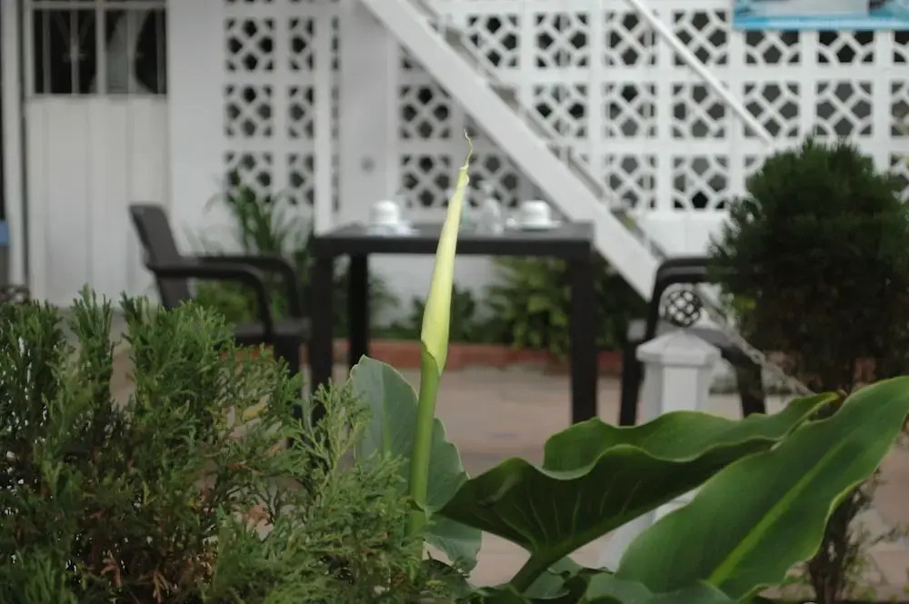 Hotel Casa Pinto
