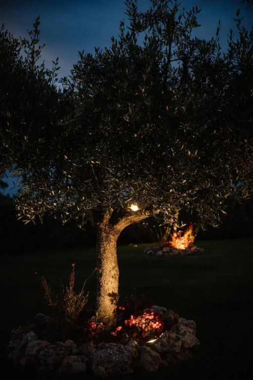 Villa Mascitti B&B Tortoreto Alto