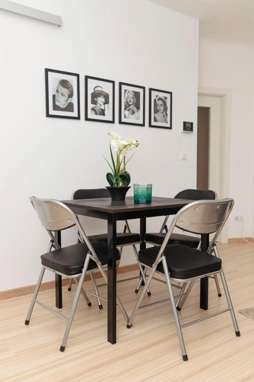 Beautiful 2-bedroom apartment near Schönbrunn