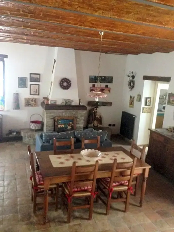 La Gatta sul Tetto