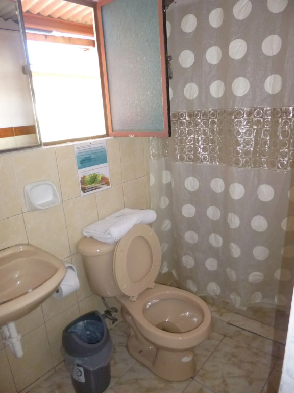 Hotel Andino