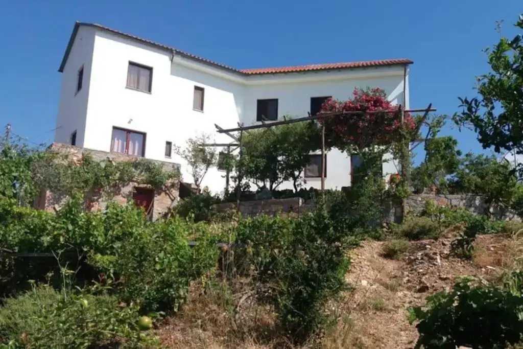 Panorama Family House