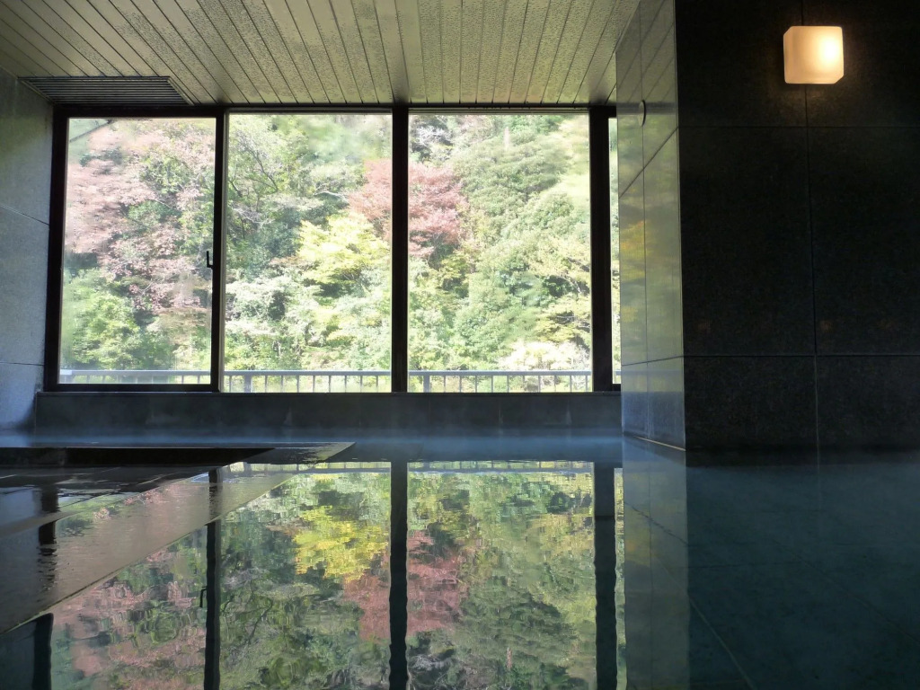 Hakone Pax Yoshino
