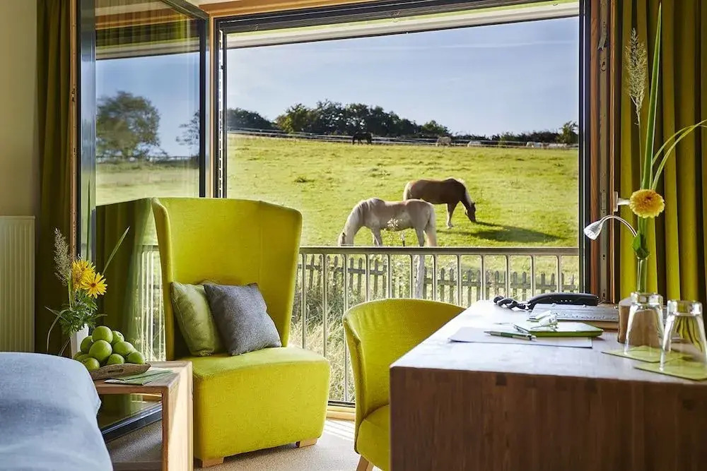 Steinbergs Wildewiese NaturHotel