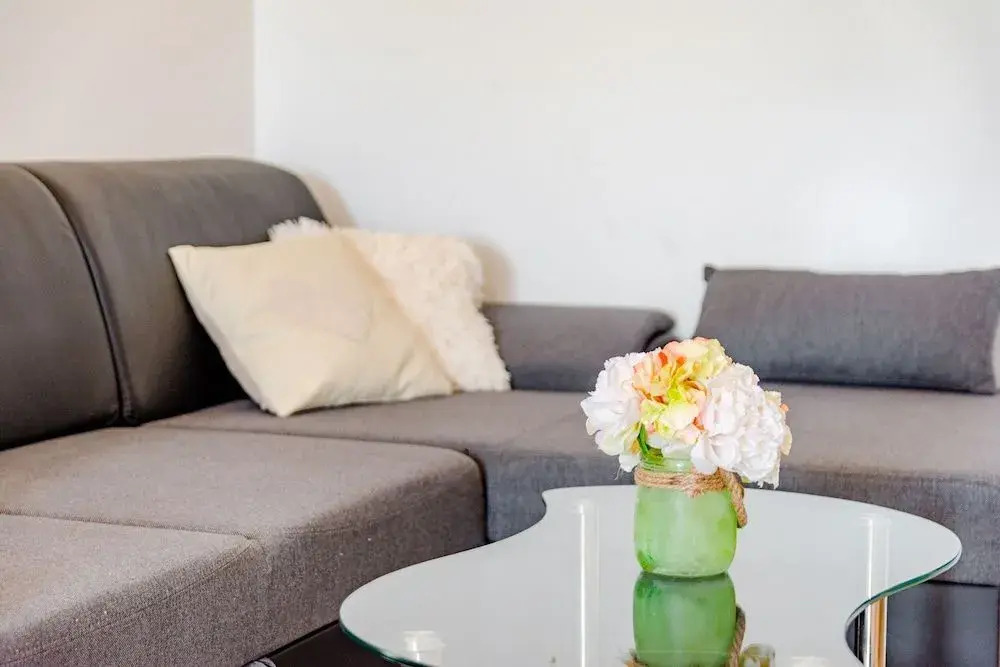Apartment Penzo