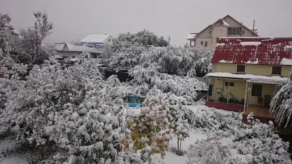 Garden house