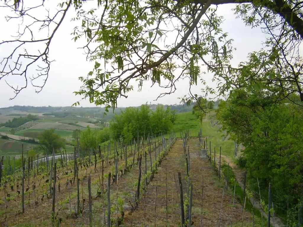 Casa Forster Langhe