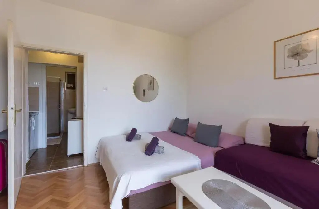 Apartment Purple Rain
