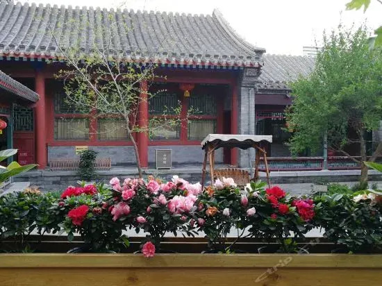YWCA Garden