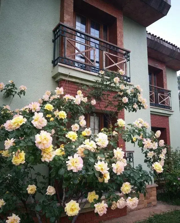 Pendosis Vacation Village