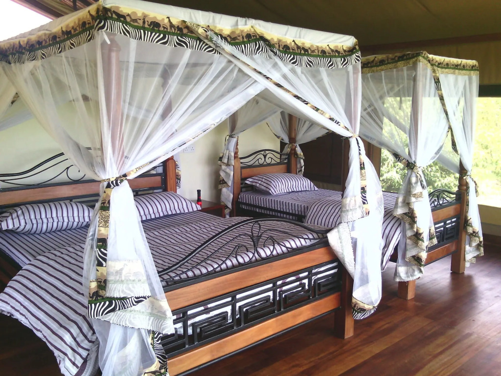 Simba & Oryx Nature Camp