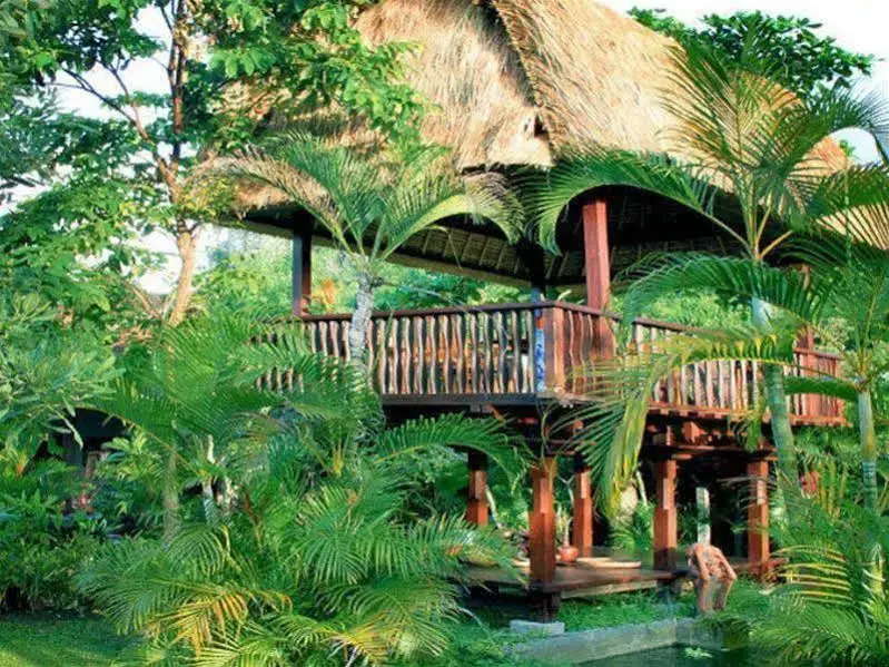 Bali Aga Villa