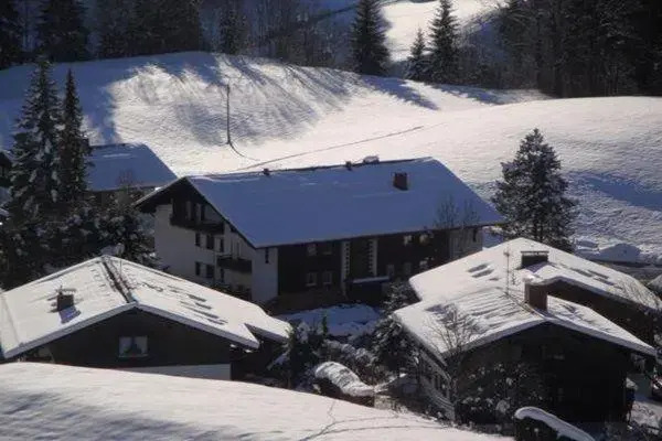Sport-Alpin-Wohnung-5