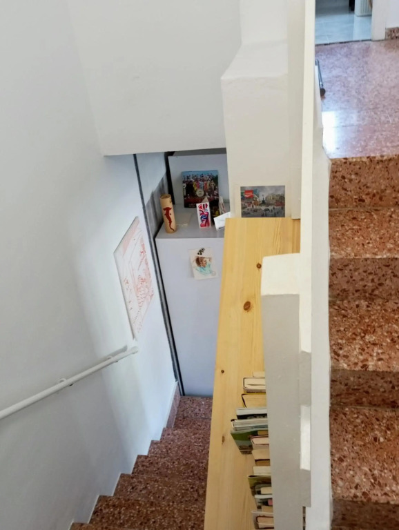 La sirenita