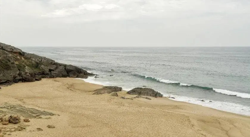 CABRA - Porto Covo