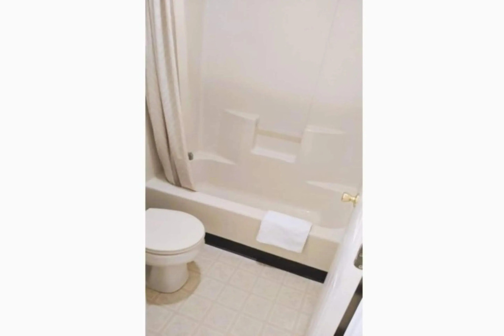OYO Hotel McIntyre GA, US 441