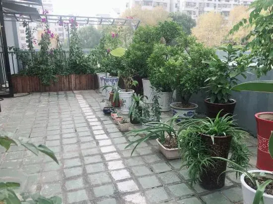 Xingshan Luoma Holiday Hotel