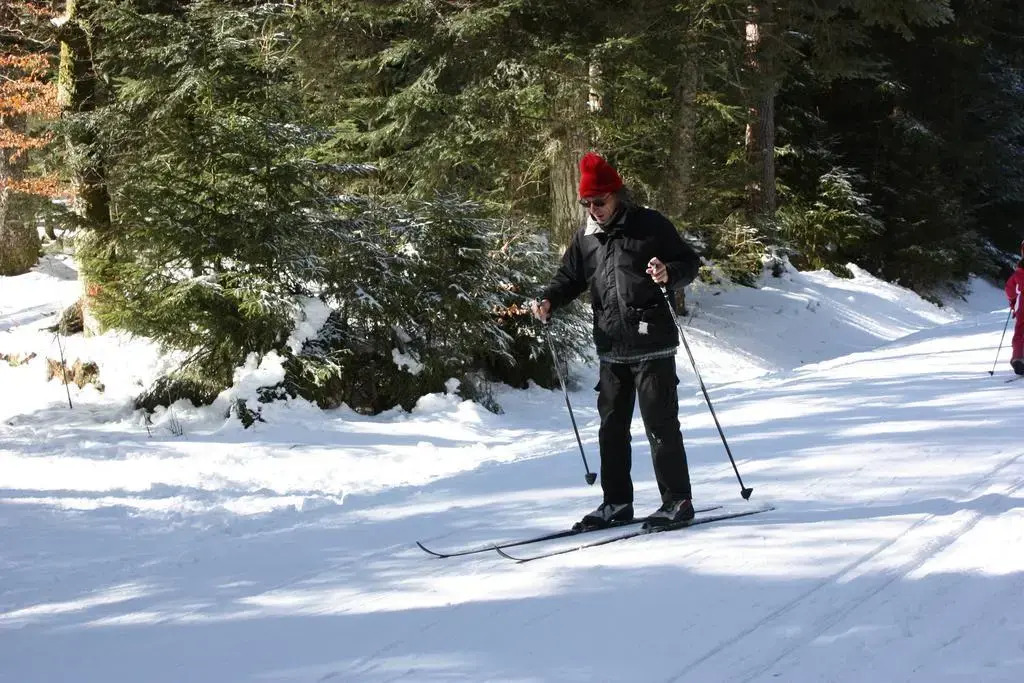 Volcans Vacances Les Chalets Du Lac