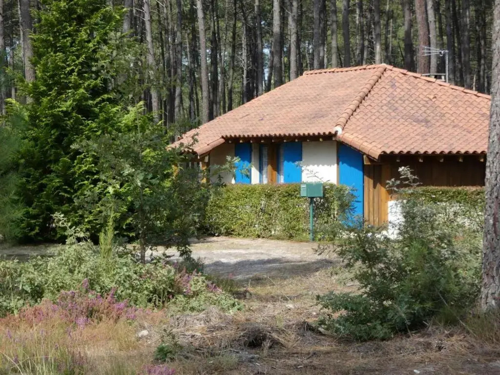 Gite Luxey, 3 pièces, 4 personnes - FR-1-360-171
