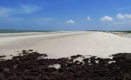 Algodoal Bela Mar Pousada