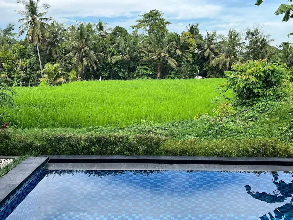 Maple Ridge Ubud Villas with Rice Field View