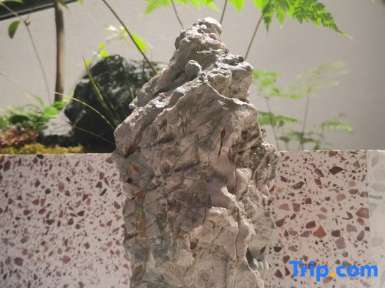 Nanshan Yueshe Hotel