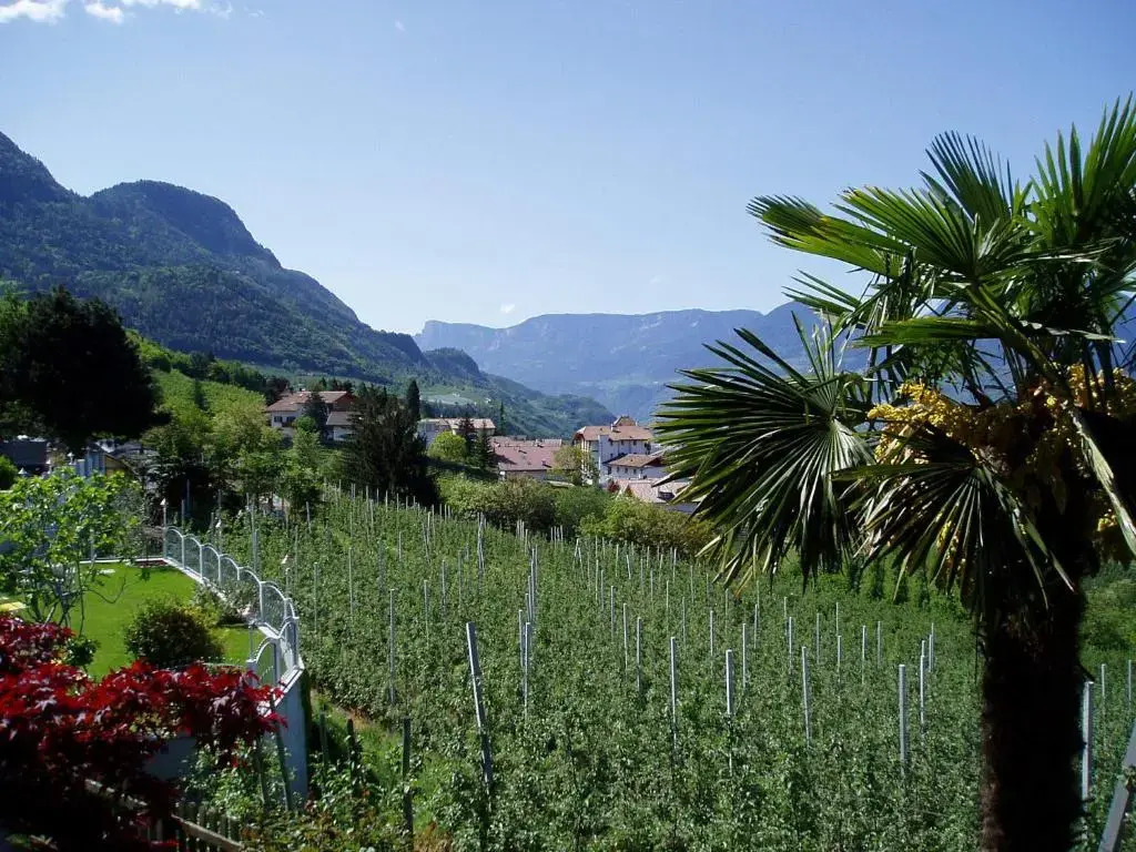 Appartements Dornach