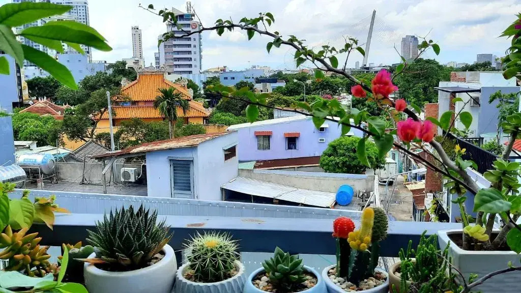 Sena home 4th-Rooftop Overlooking Danang Dragon bridge