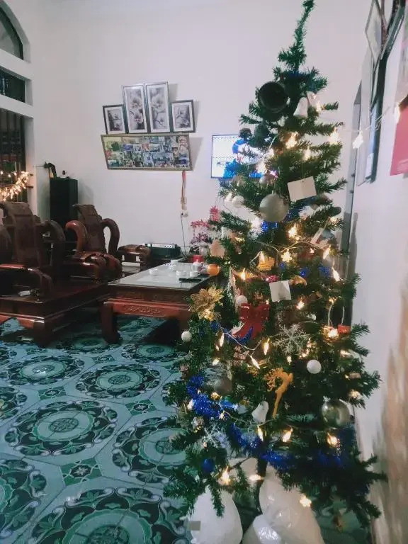 Phi Hungs Unique Homestay