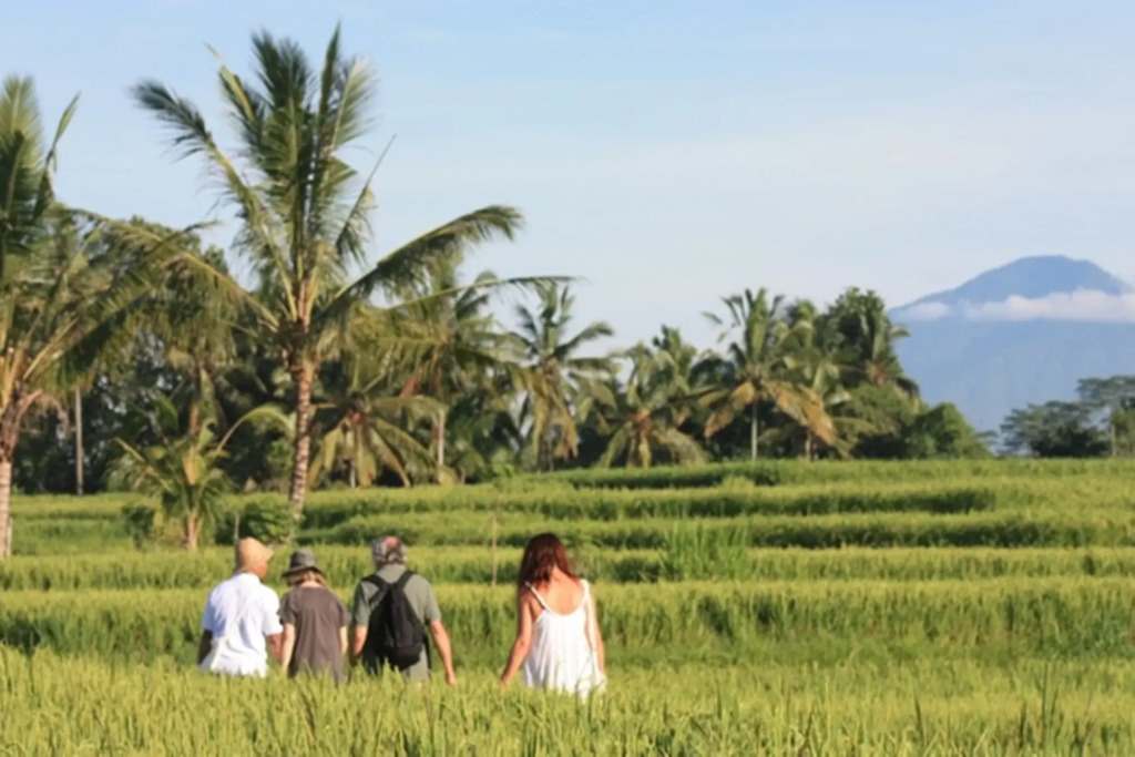 Wapa di Ume Ubud