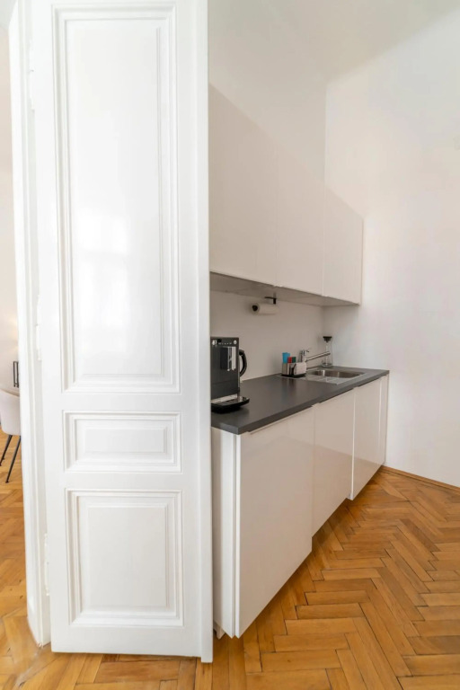 Luxury Apartment next to the City Center