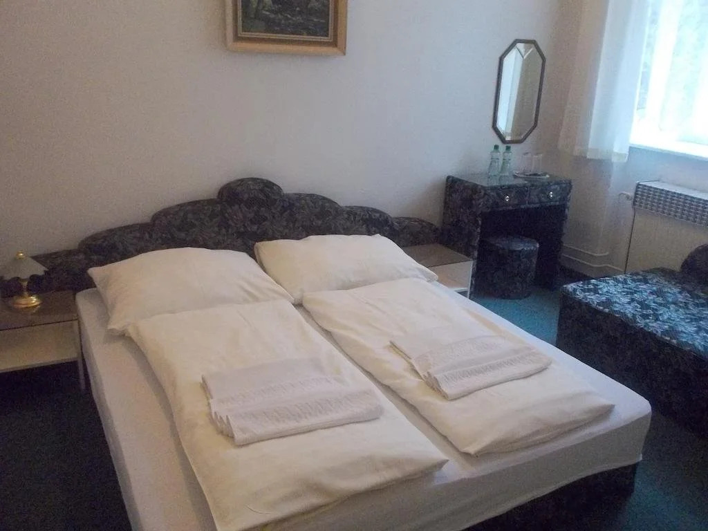 Hotel U Hroznu