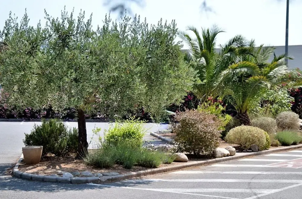 Ibis Budget Fréjus Capitou