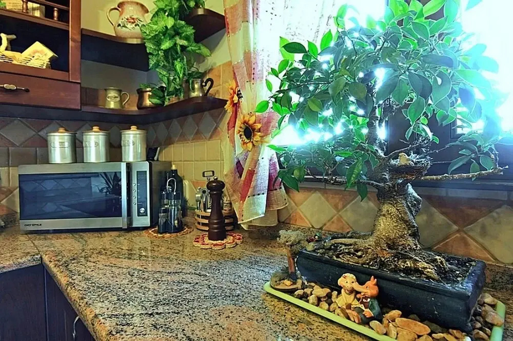 Villa Patty