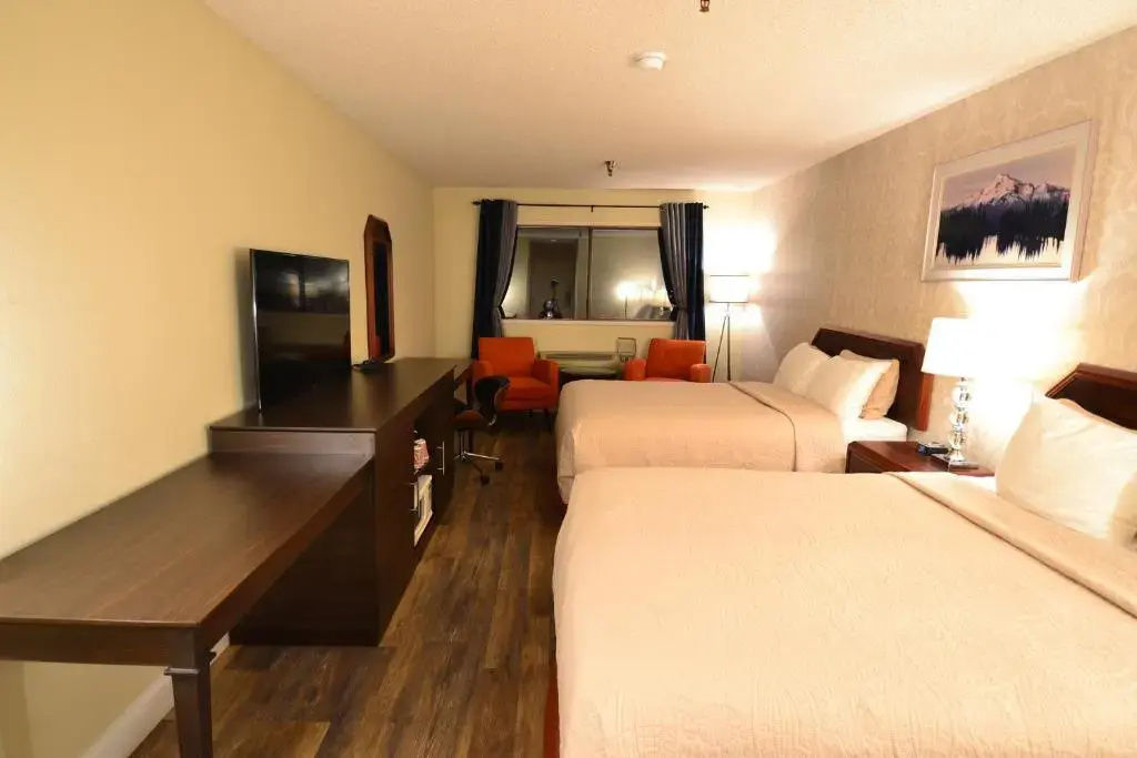 Hotel International