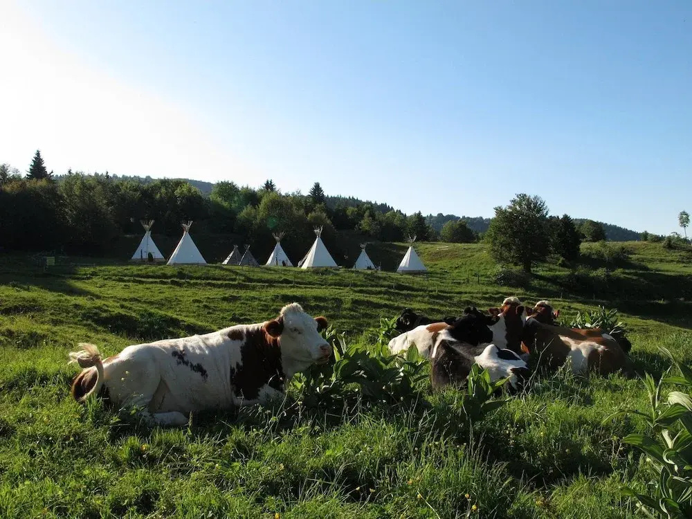 Village Tipi