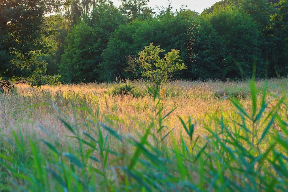 Heart of Nature - Luksus Glamping & Spa