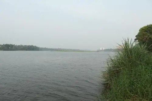 The Health Village