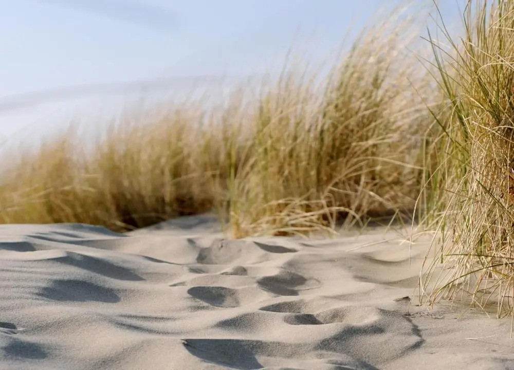 Zeeland Luxury Villa near Beach