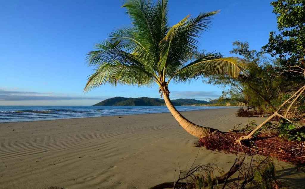 Thornton Beach Bungalows Daintree