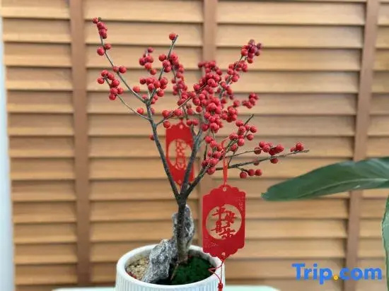 Miss Wu's Homestay (Huayu Shuyuan Branch), Zhangjiajie