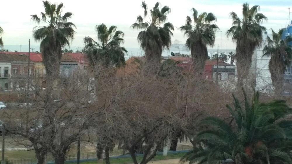 Apartment With 3 Bedrooms in València, With Wonderful sea View and Fur