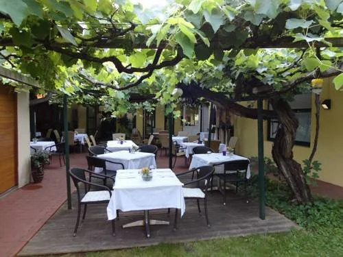 Bed & Breakfast Zum Alten Weinstock