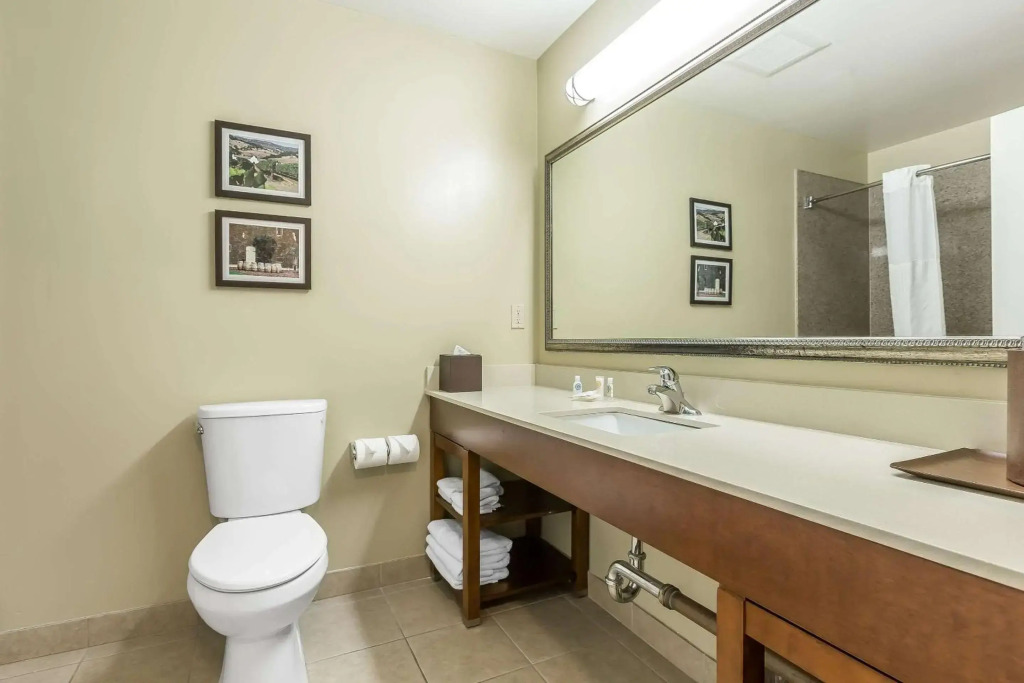Comfort Inn Pomona near Fairplex