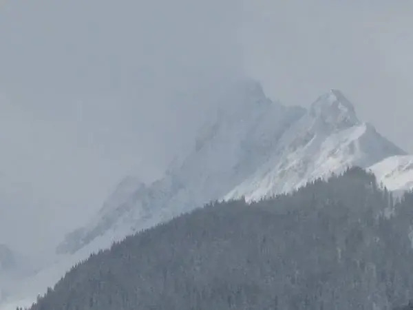 Gasthaus Alpenrose