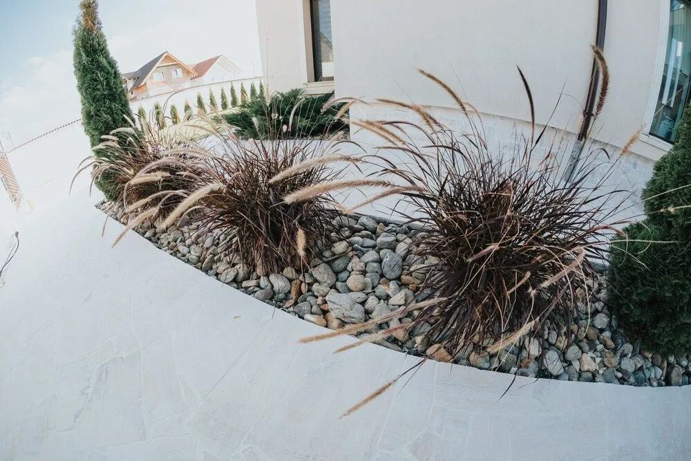 Carla Residence